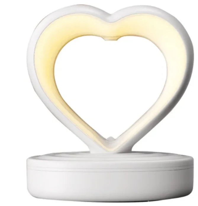 Heart Anti Gravity Humidifier