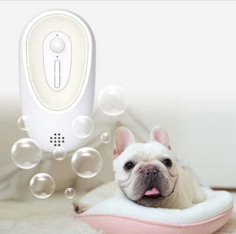 Grooming Day Kit - Pet Odor Eliminator